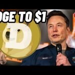 DOGE TO !! Elon Musk Continues To Pump Dogecoin! $Doge Price Prediction