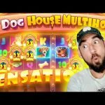 🐾 PROBANDO DOG HOUSE MULTIHOLD 🏠 ¡NOS VAMOS CON PROFIT! 🎰