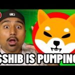 SHIBA INU IS PUMPING AGAIN!! BUY $SHIB NOW?! SHIBA INU PRICE PREDICTION